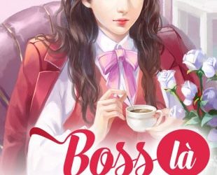 Boss Là Nữ Phụ audio full