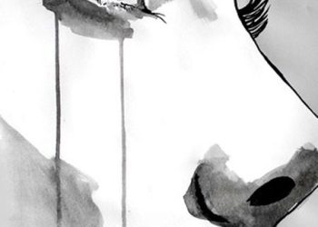 Người Con Gái Bất Hạnh audio truyện