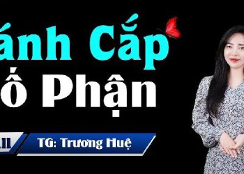 Đánh Cắp Số Phận audio truyện