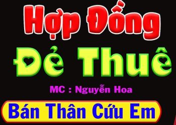 Hợp Đồng Đẻ Thuê audio truyện