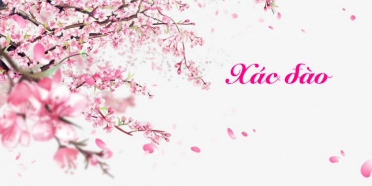 Xác Đào audio truyện