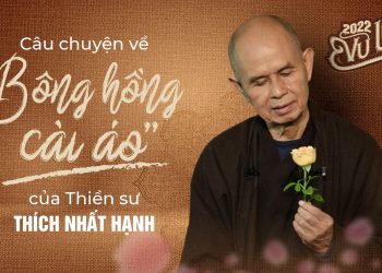 Sách Nói Bông Hồng Cài Áo – Thích Nhất Hạnh